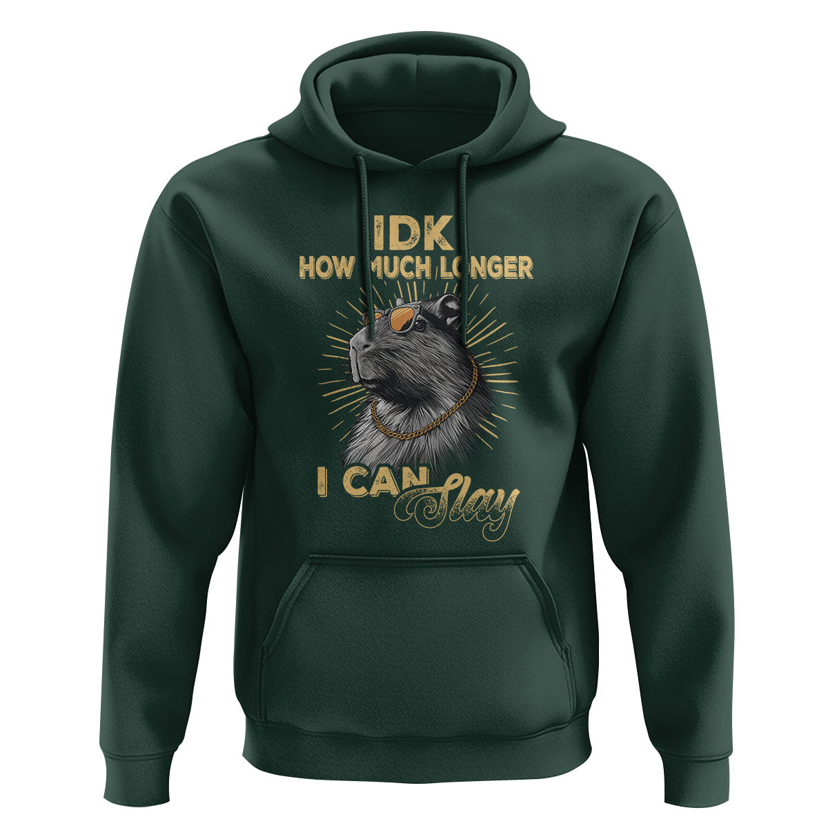 Capybara Lover Hoodie Idk How Much Longer I Can Slay Cool Capy - Wonder Print Shop