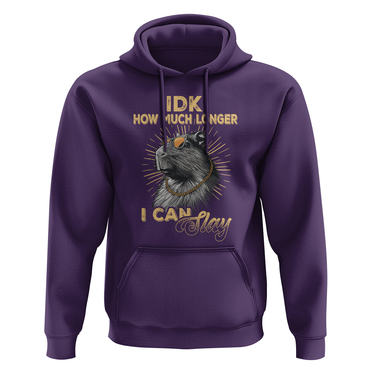 Capybara Lover Hoodie Idk How Much Longer I Can Slay Cool Capy - Wonder Print Shop