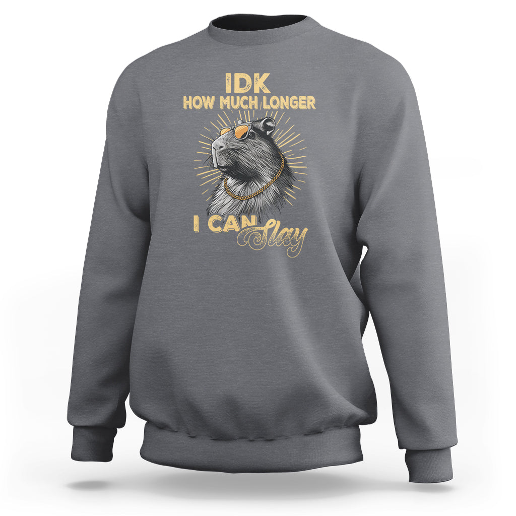 Capybara Lover Sweatshirt Idk How Much Longer I Can Slay Cool Capy - Wonder Print Shop