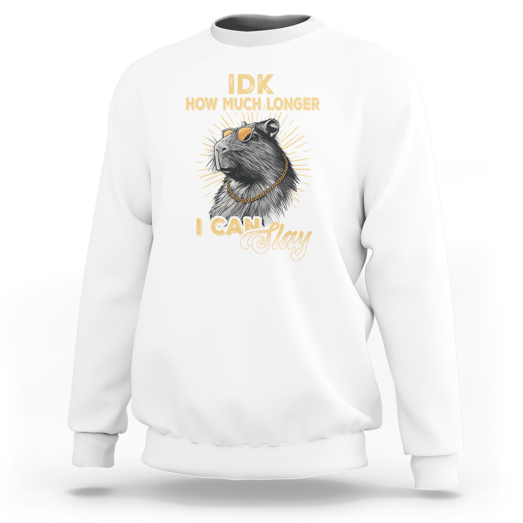 Capybara Lover Sweatshirt Idk How Much Longer I Can Slay Cool Capy - Wonder Print Shop