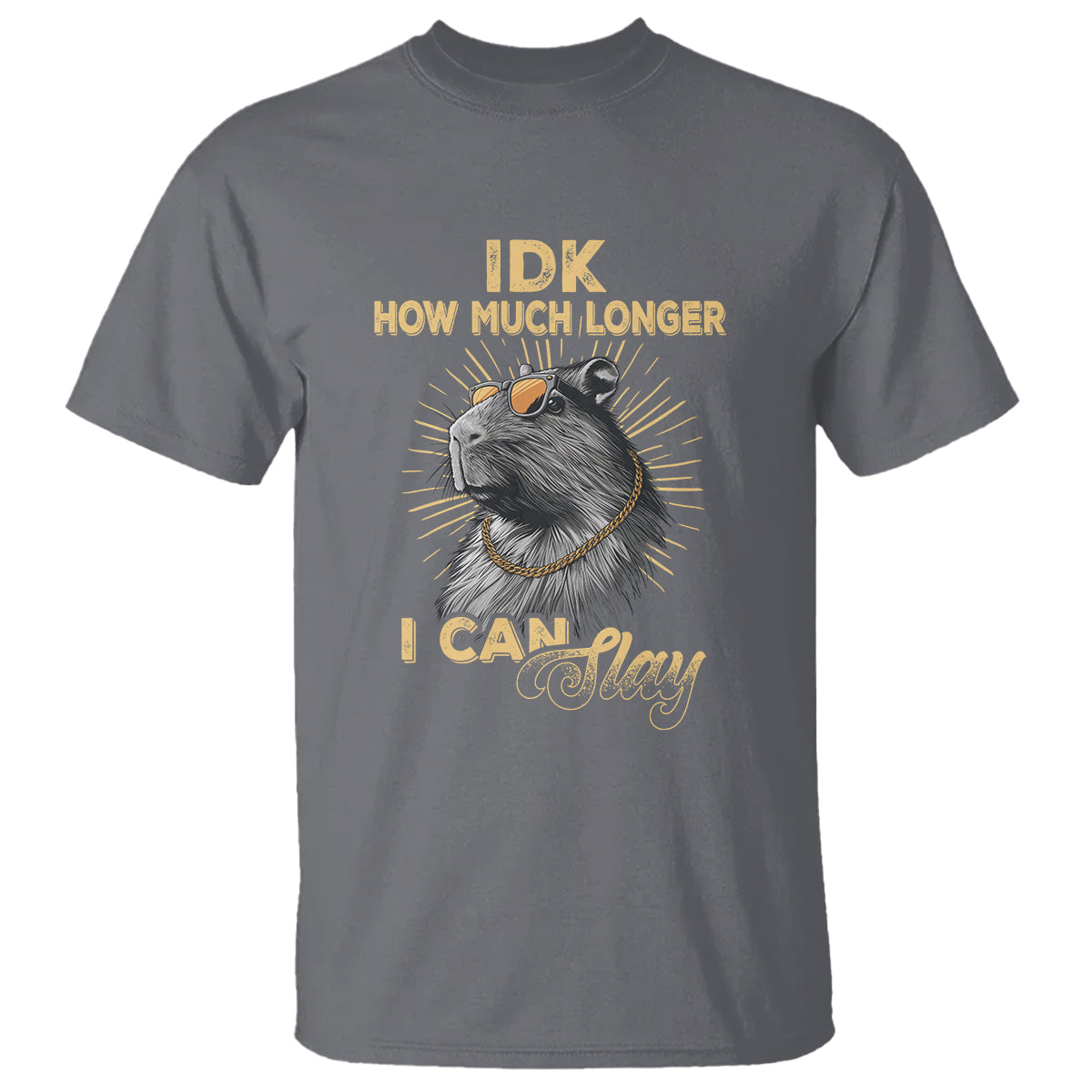 Capybara Lover T Shirt Idk How Much Longer I Can Slay Cool Capy - Wonder Print Shop