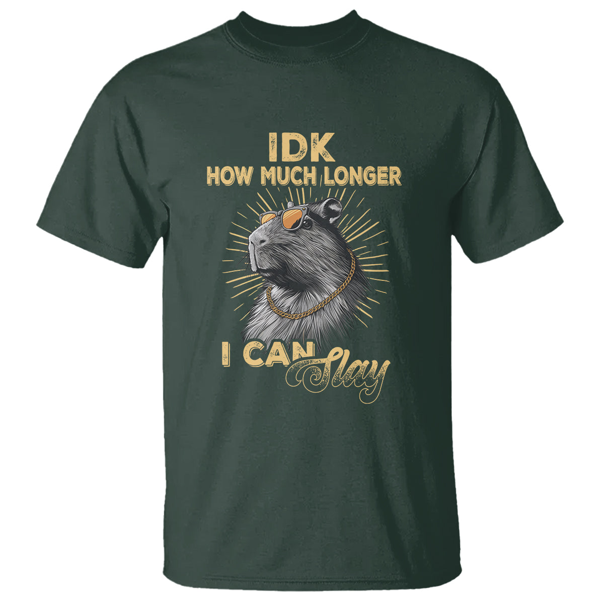 Capybara Lover T Shirt Idk How Much Longer I Can Slay Cool Capy - Wonder Print Shop