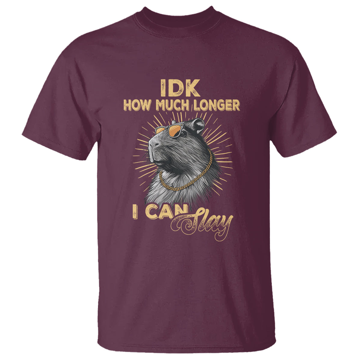 Capybara Lover T Shirt Idk How Much Longer I Can Slay Cool Capy - Wonder Print Shop