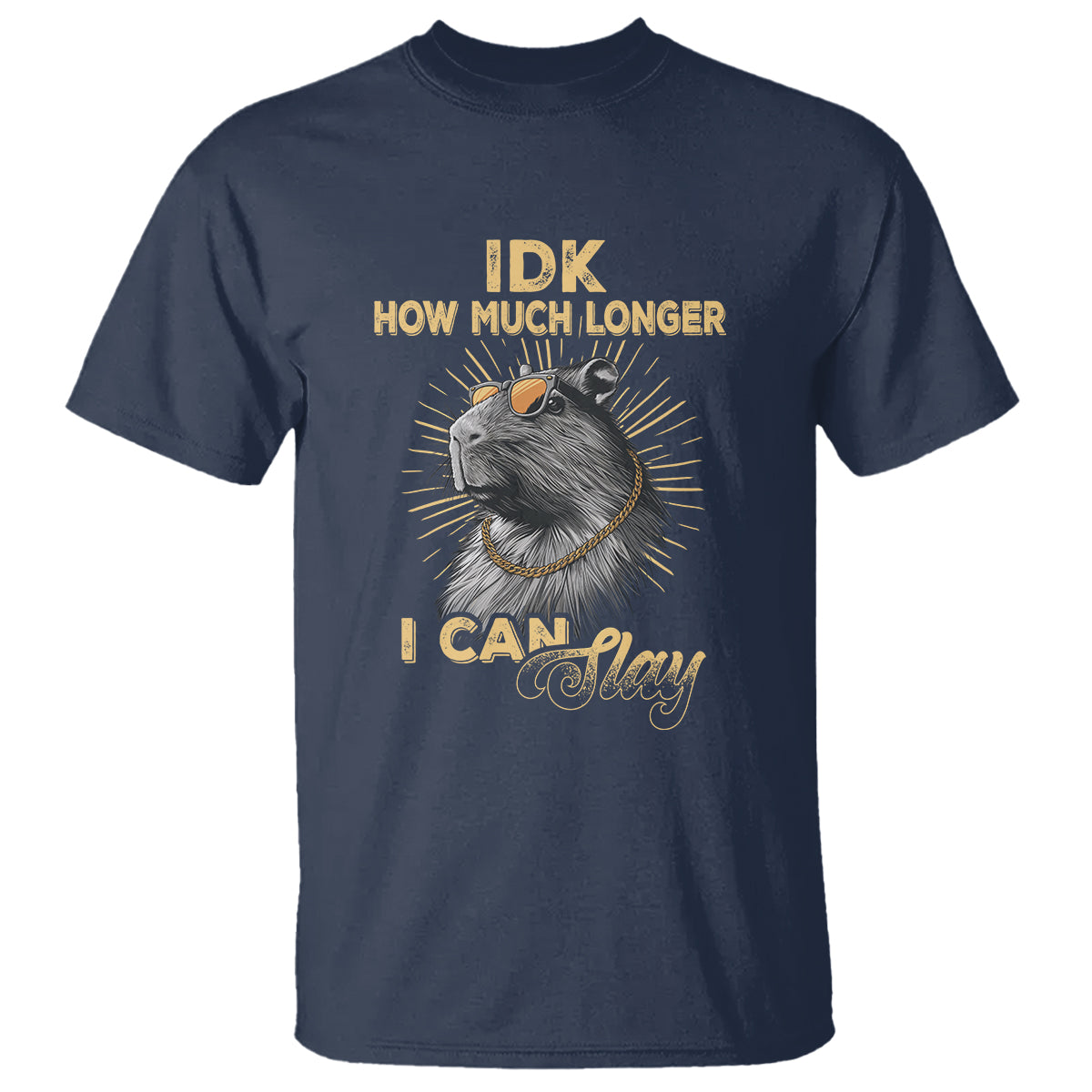 Capybara Lover T Shirt Idk How Much Longer I Can Slay Cool Capy - Wonder Print Shop