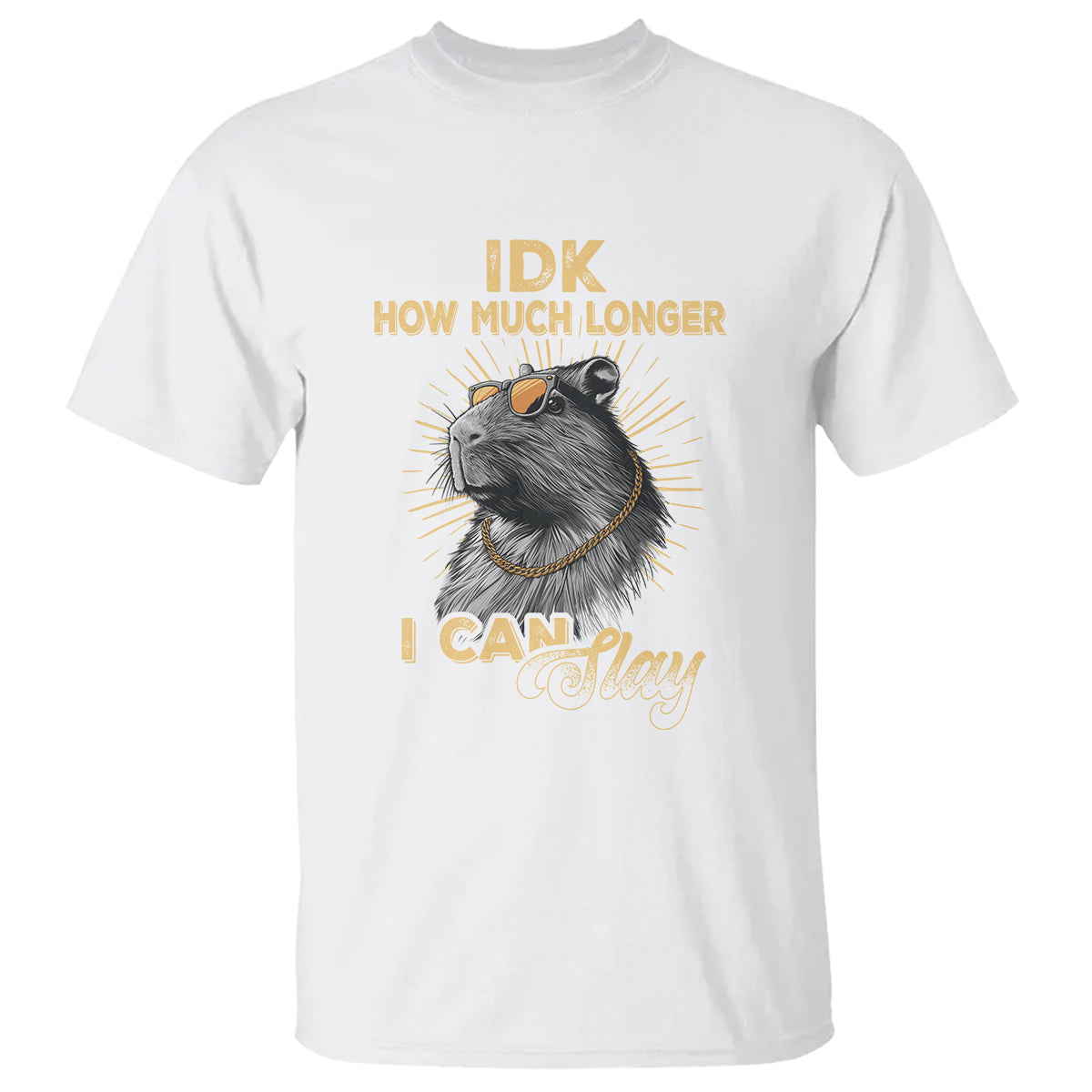 Capybara Lover T Shirt Idk How Much Longer I Can Slay Cool Capy - Wonder Print Shop