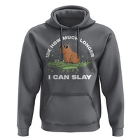 Capybara Lover Hoodie Idk How Much Longer I Can Slay Funny Capy Crocodile - Wonder Print Shop