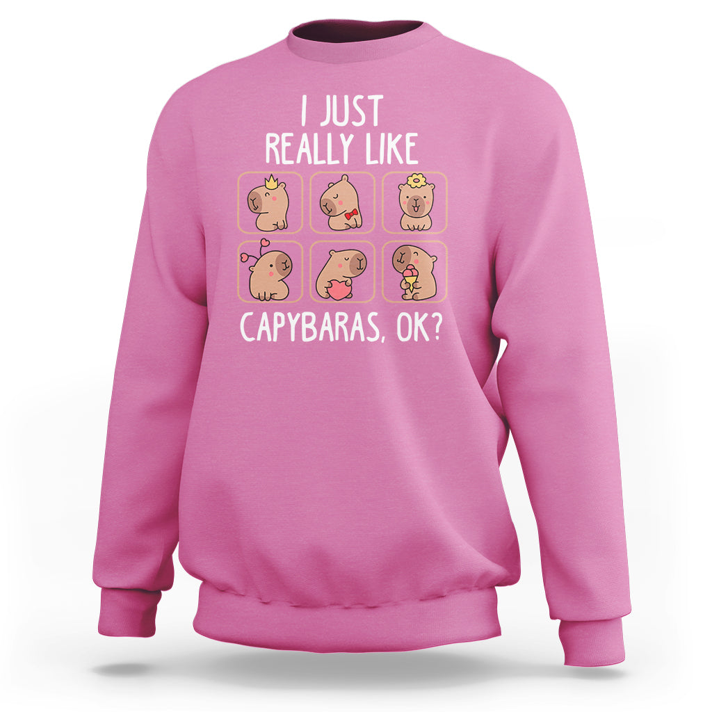 Capybara Lover Sweatshirt I Just Really Like Capybaras Cute Capy - Wonder Print Shop