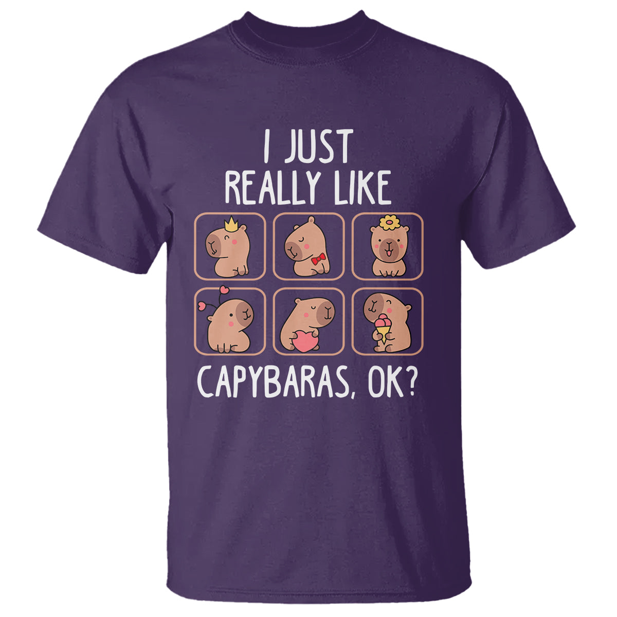 Capybara Lover T Shirt I Just Really Like Capybaras Cute Capy - Wonder Print Shop