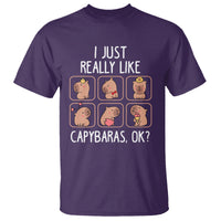 Capybara Lover T Shirt I Just Really Like Capybaras Cute Capy - Wonder Print Shop