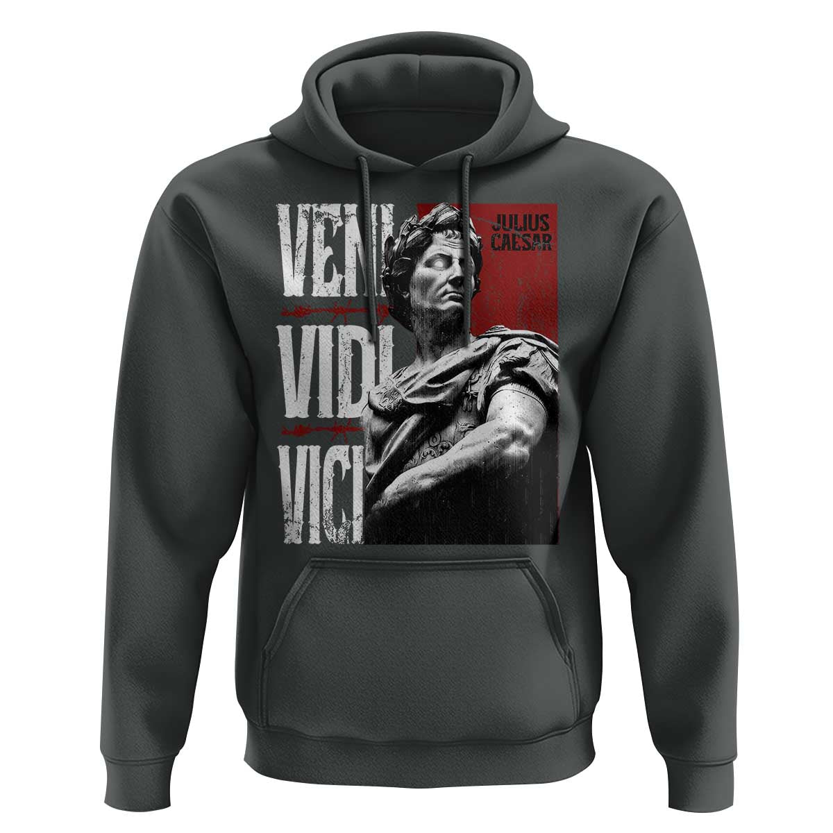 Julius Caesar Hoodie Veni Vidi Vici Latin Roman History