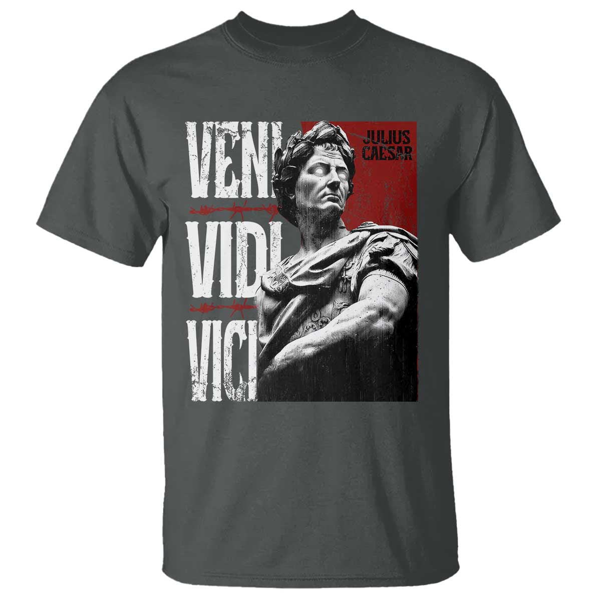 Julius Caesar T Shirt Veni Vidi Vici Latin Roman History