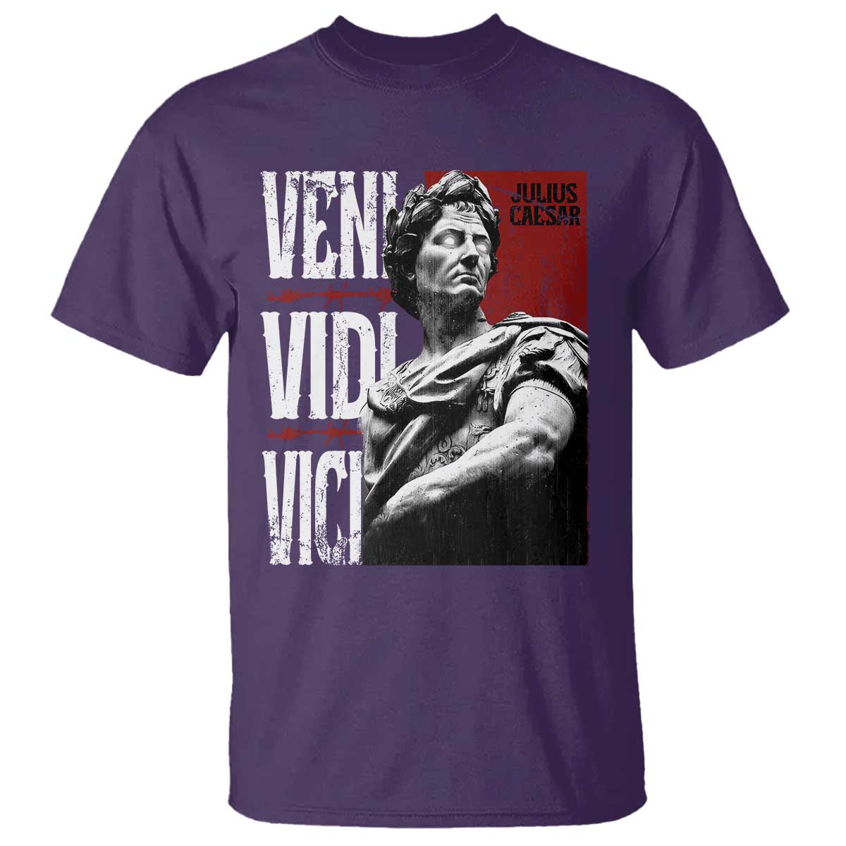 Julius Caesar T Shirt Veni Vidi Vici Latin Roman History