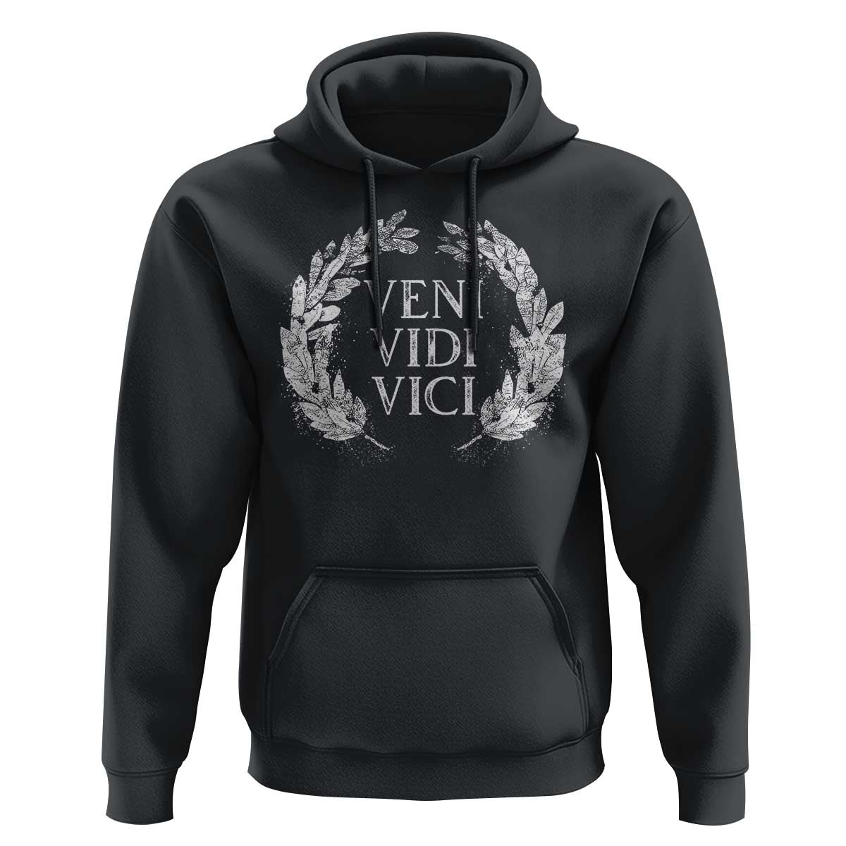 Julius Caesar Veni Vidi Vici Hoodie Latin Roman History