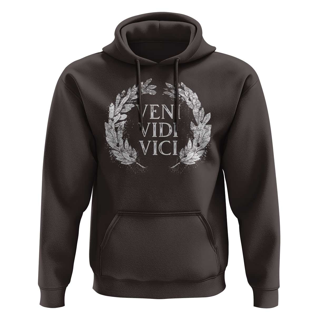 Julius Caesar Veni Vidi Vici Hoodie Latin Roman History