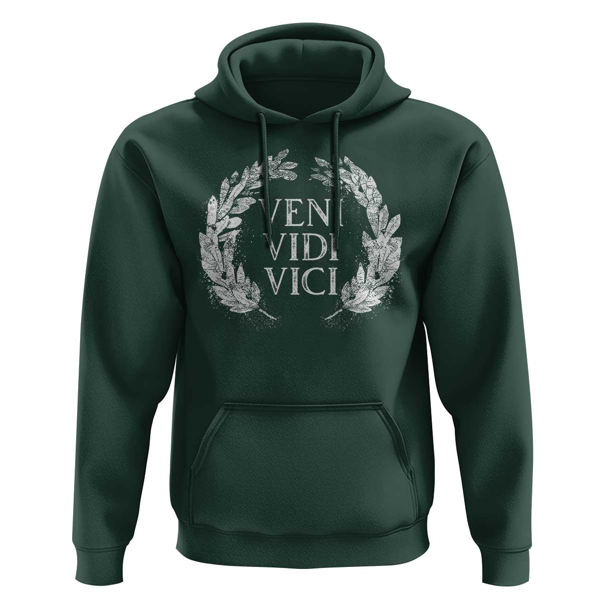 Julius Caesar Veni Vidi Vici Hoodie Latin Roman History