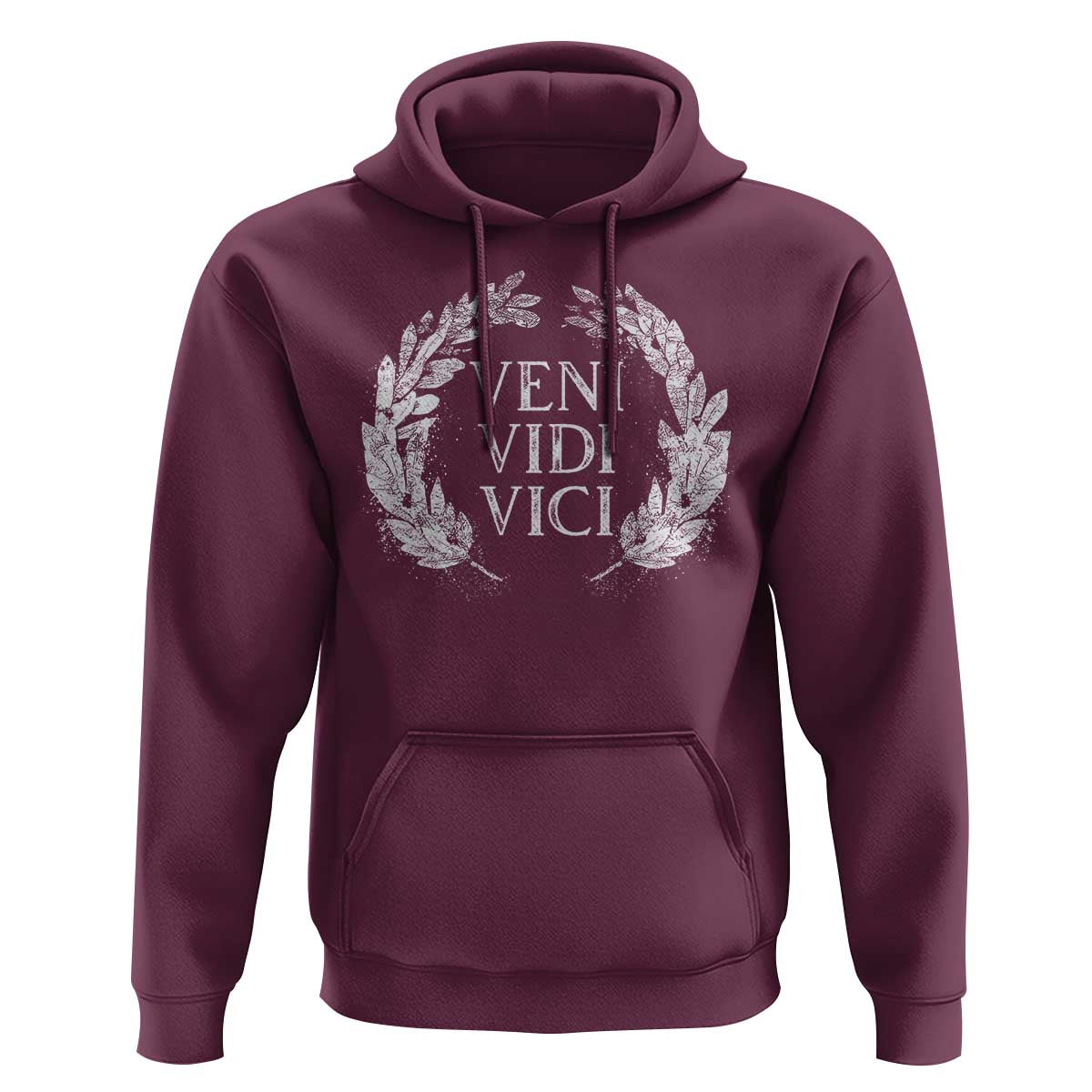 Julius Caesar Veni Vidi Vici Hoodie Latin Roman History
