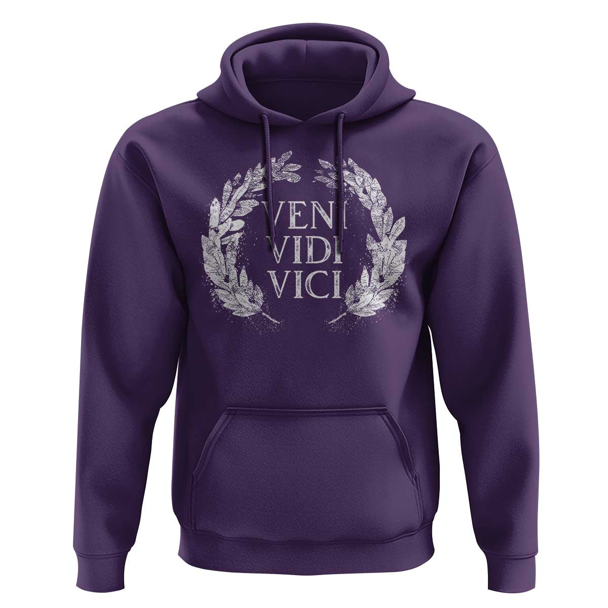 Julius Caesar Veni Vidi Vici Hoodie Latin Roman History