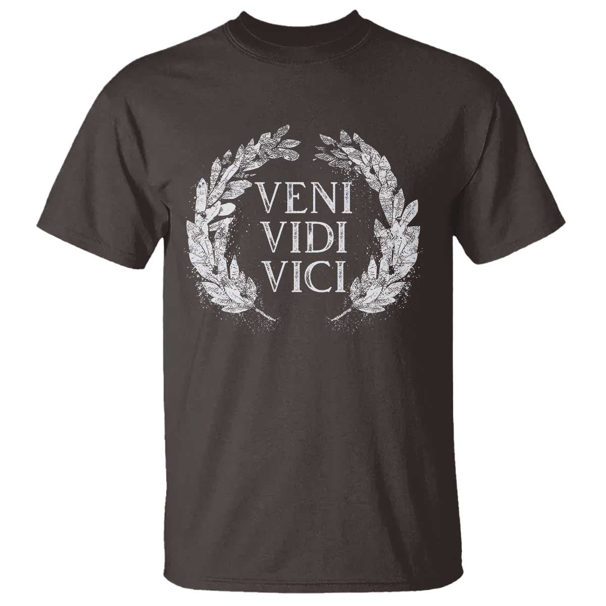 Julius Caesar Veni Vidi Vici T Shirt Latin Roman History