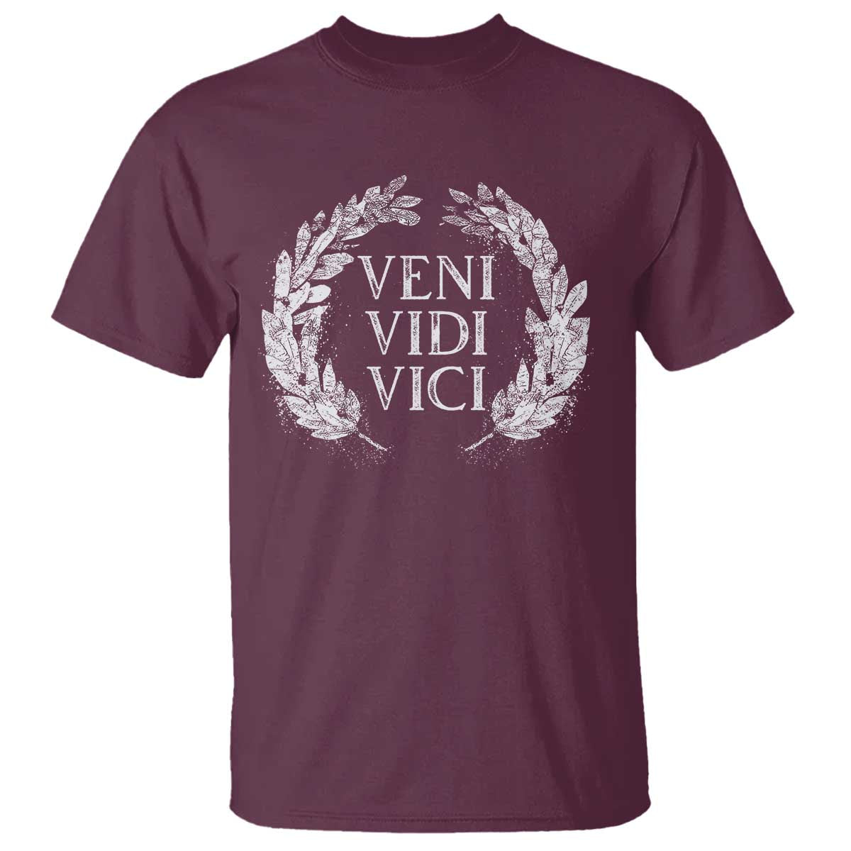 Julius Caesar Veni Vidi Vici T Shirt Latin Roman History