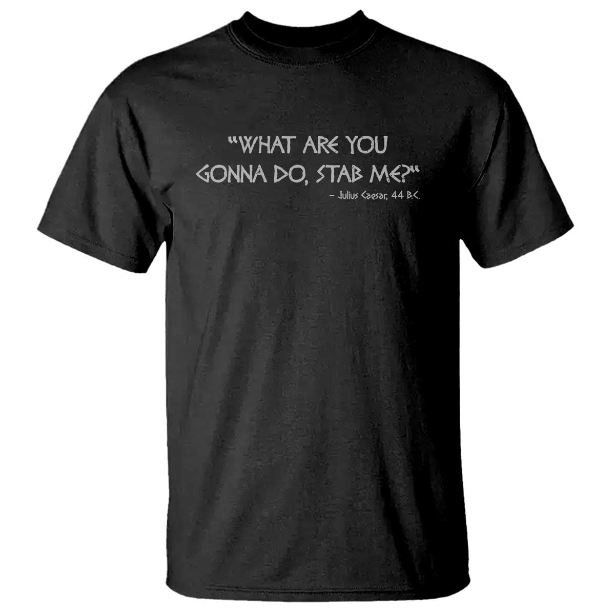Julius Caesar T Shirt What Are You Gonna Do Stab Me Roman History