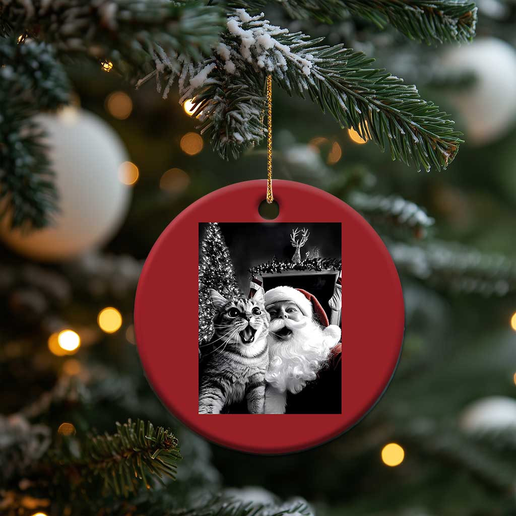 Funny Christmas Cat Selfie With Santa Christmas Ornament - Wonder Print Shop