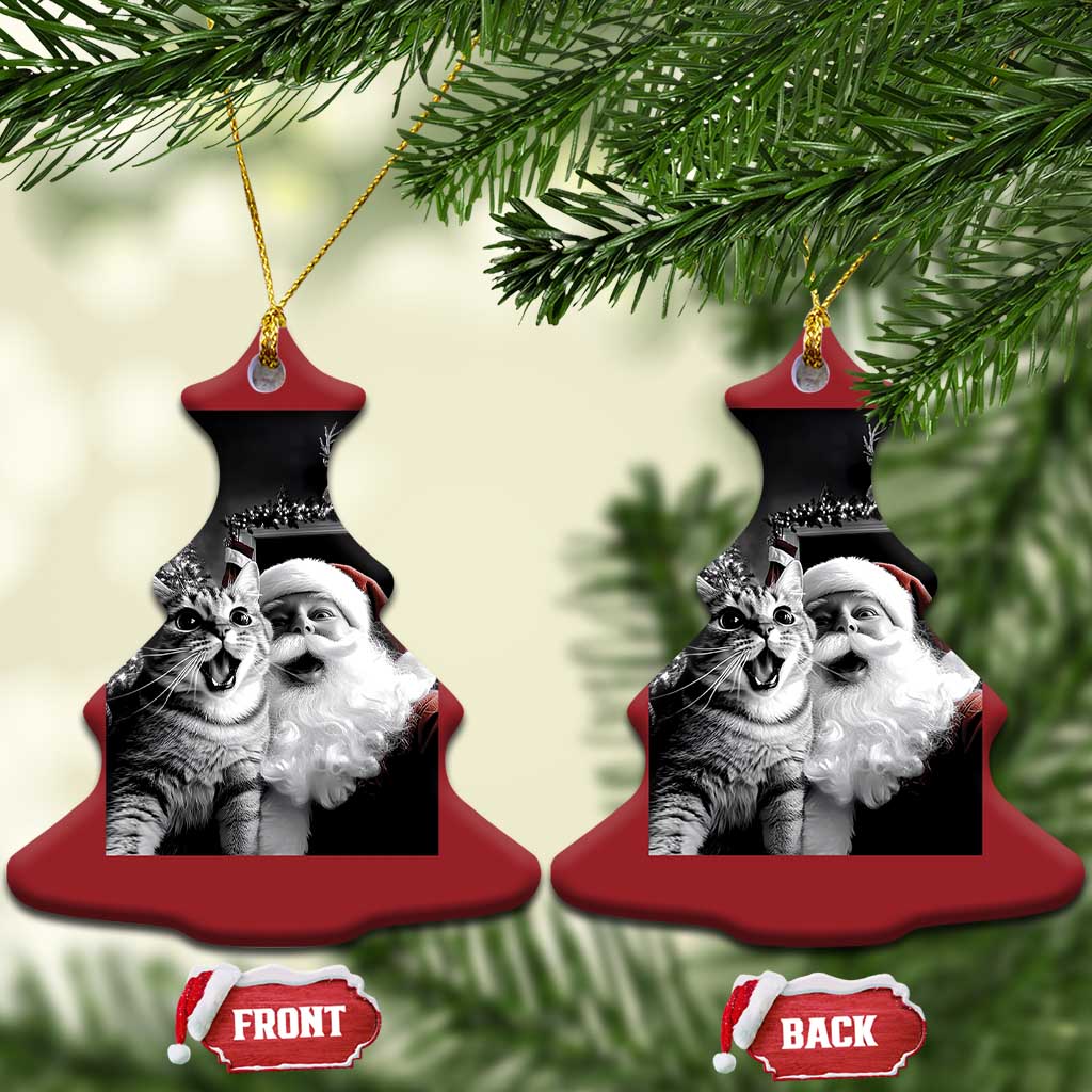 Funny Christmas Cat Selfie With Santa Christmas Ornament - Wonder Print Shop