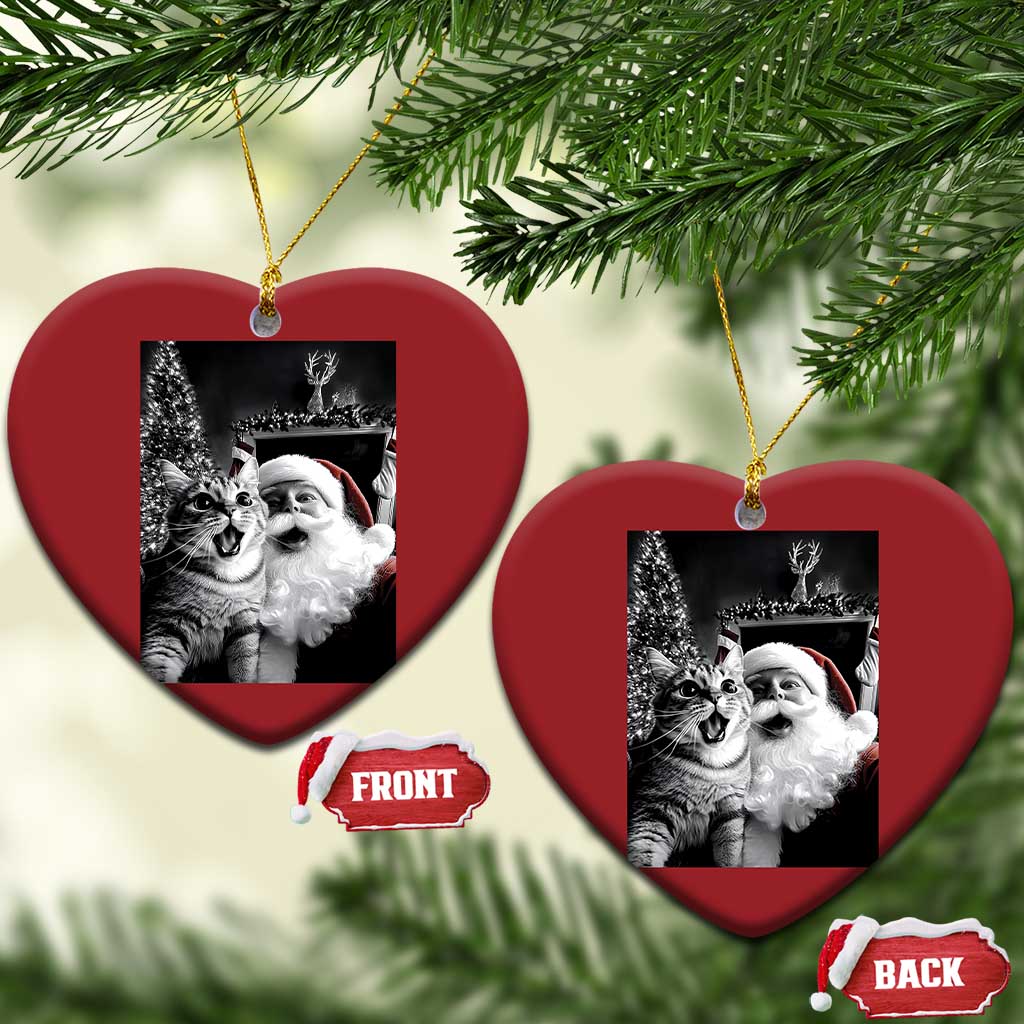 Funny Christmas Cat Selfie With Santa Christmas Ornament - Wonder Print Shop