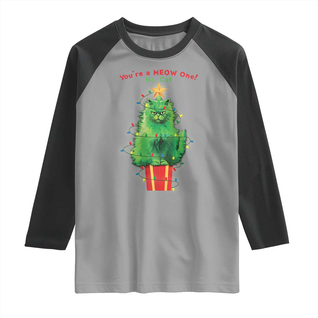 Funny Christmas Cat Raglan Shirt You Are A Meow One Mr. Cat Green Cat