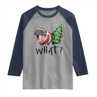 Funny Christmas Moo Deng Raglan Shirt What Baby Hippo Pushing Christmas Tree