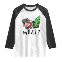 Funny Christmas Moo Deng Raglan Shirt What Baby Hippo Pushing Christmas Tree