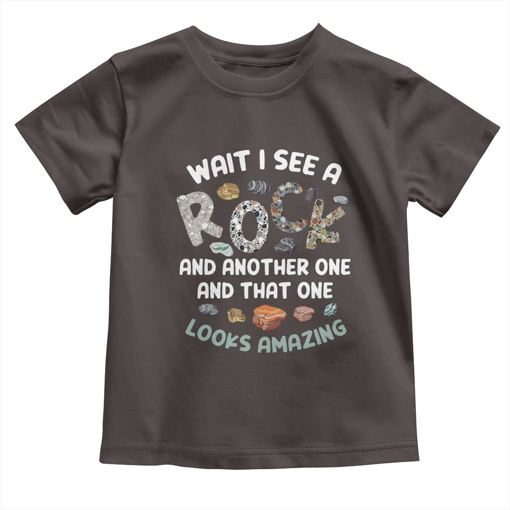 Rock Collector Toddler T Shirt Wait I See A Rock Geologist