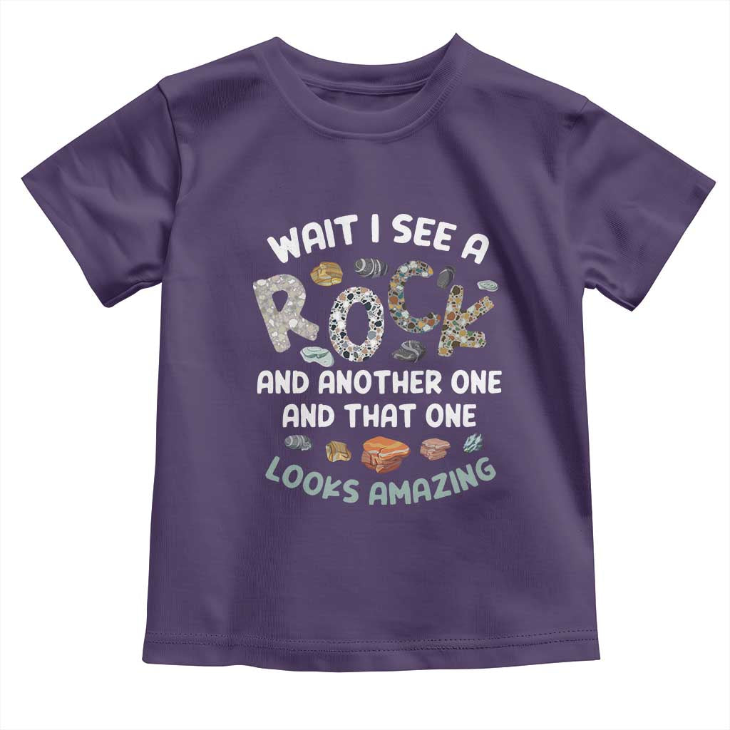 Rock Collector Toddler T Shirt Wait I See A Rock Geologist