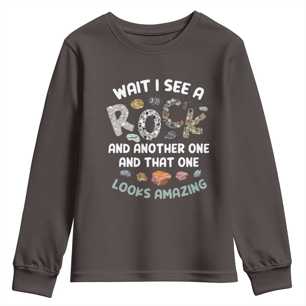 Rock Collector Youth Sweatshirt Wait I See A Rock Geologist