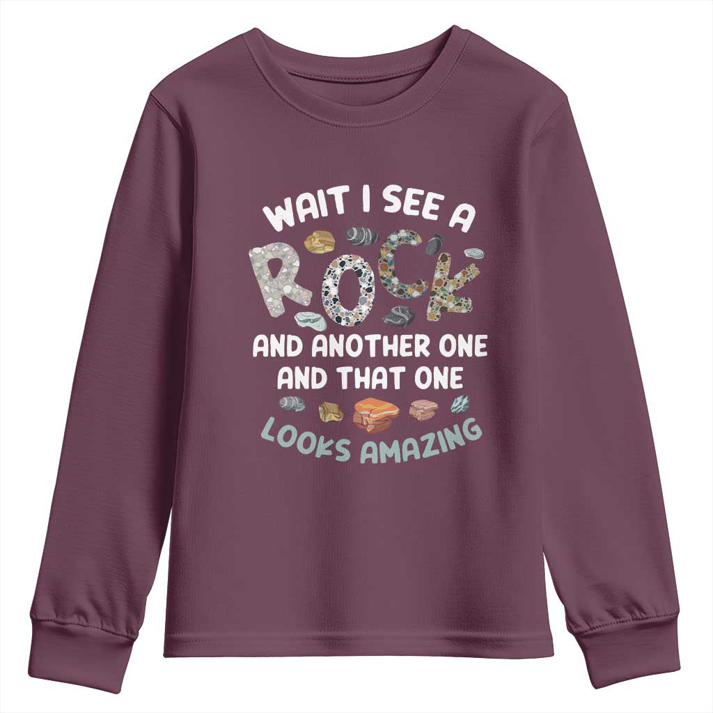 Rock Collector Youth Sweatshirt Wait I See A Rock Geologist