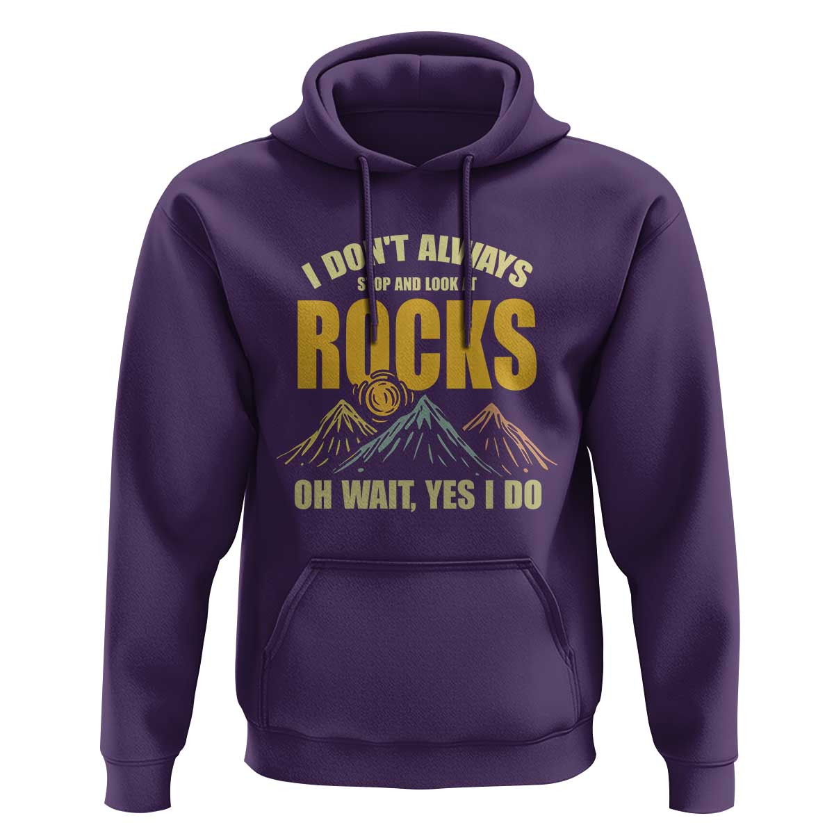 Geologist Hoodie I Don't Always Stop And Look At Rocks