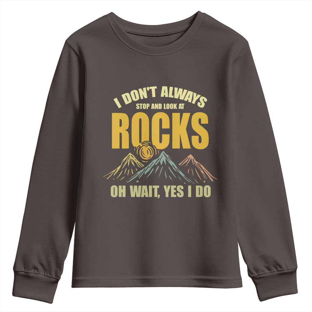 Geologist Youth Sweatshirt I Don't Always Stop And Look At Rocks