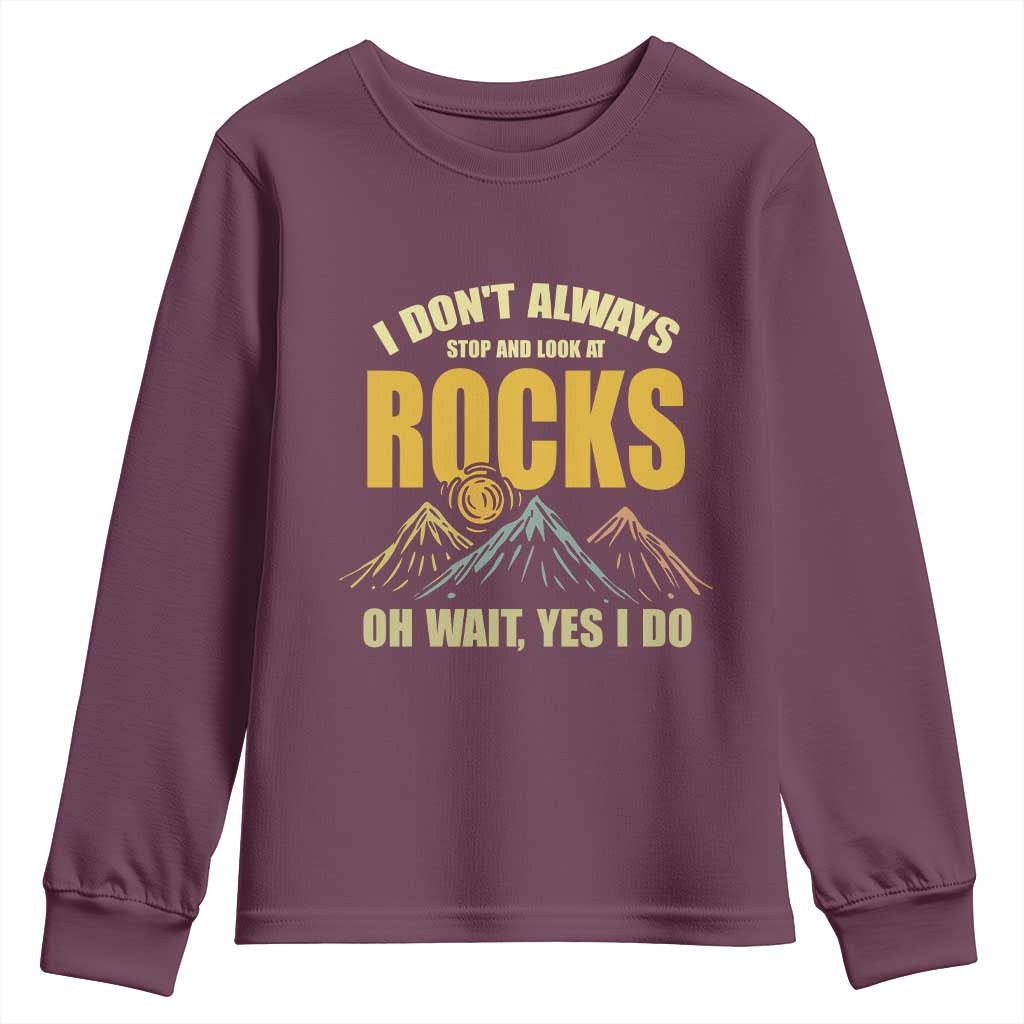 Geologist Youth Sweatshirt I Don't Always Stop And Look At Rocks