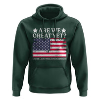 Are We Great Yet Hoodie Cause I Just Feel Embarrassed American Flag