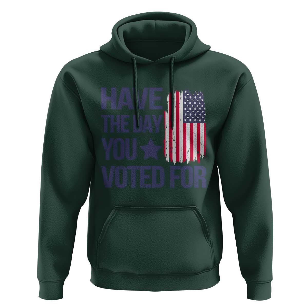 Have The Day You Voted For Hoodie America 2025
