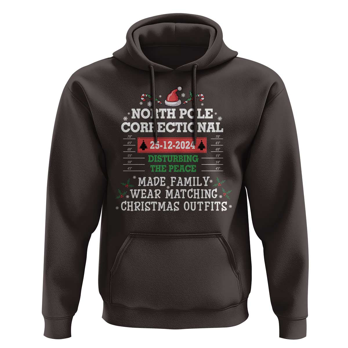 Funny Christmas Family Matching Hoodie North Pole Correctional Disturbing The Peace