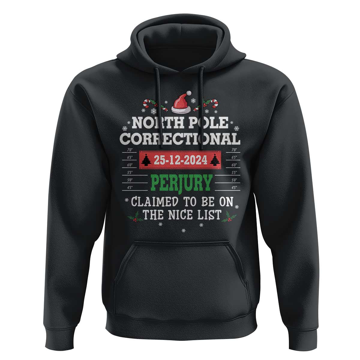 Funny Christmas Family Matching Hoodie North Pole Correctional Perjury