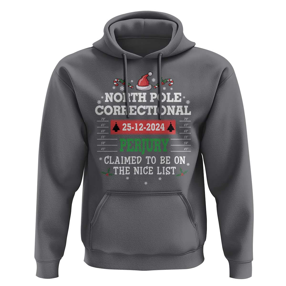 Funny Christmas Family Matching Hoodie North Pole Correctional Perjury