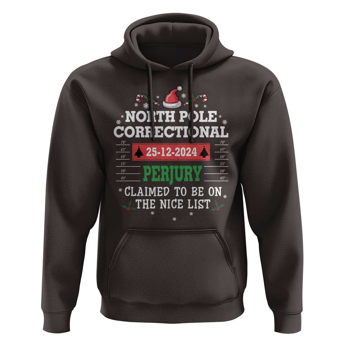 Funny Christmas Family Matching Hoodie North Pole Correctional Perjury