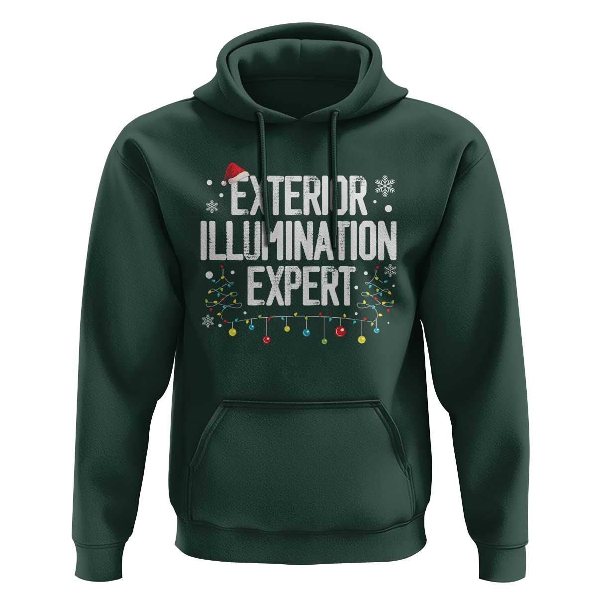 Funny Christmas Hoodie Exterior Illumination Expert Christmas Lights