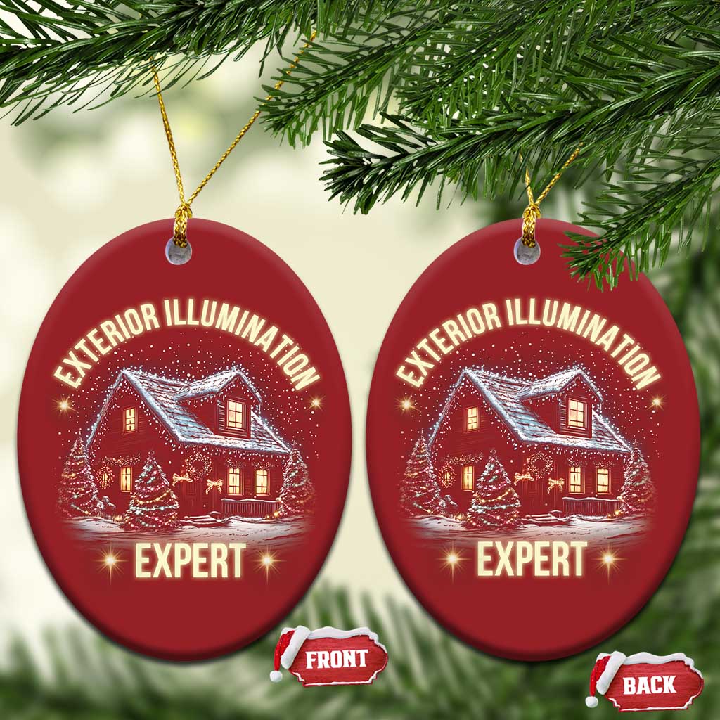 Funny Xmas Christmas Ornament Exterior Illumination Expert Christmas Lights Home - Wonder Print Shop