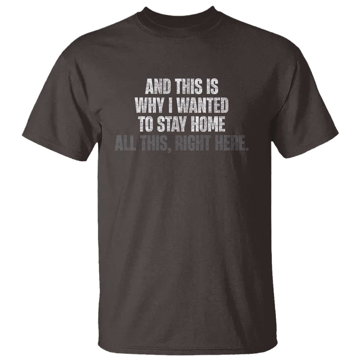 Funny And This Is Why I Wanted To Stay Home T Shirt All This Right Here