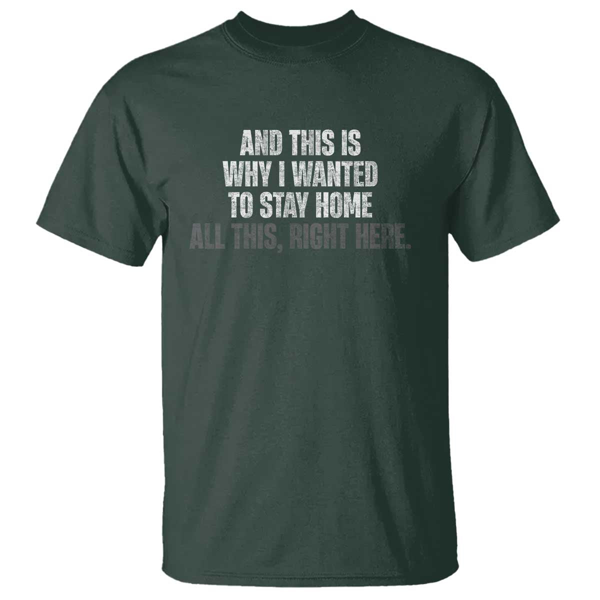 Funny And This Is Why I Wanted To Stay Home T Shirt All This Right Here