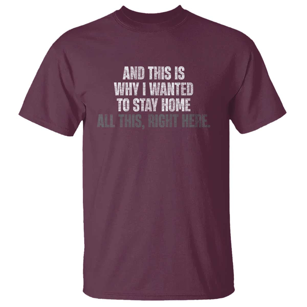 Funny And This Is Why I Wanted To Stay Home T Shirt All This Right Here