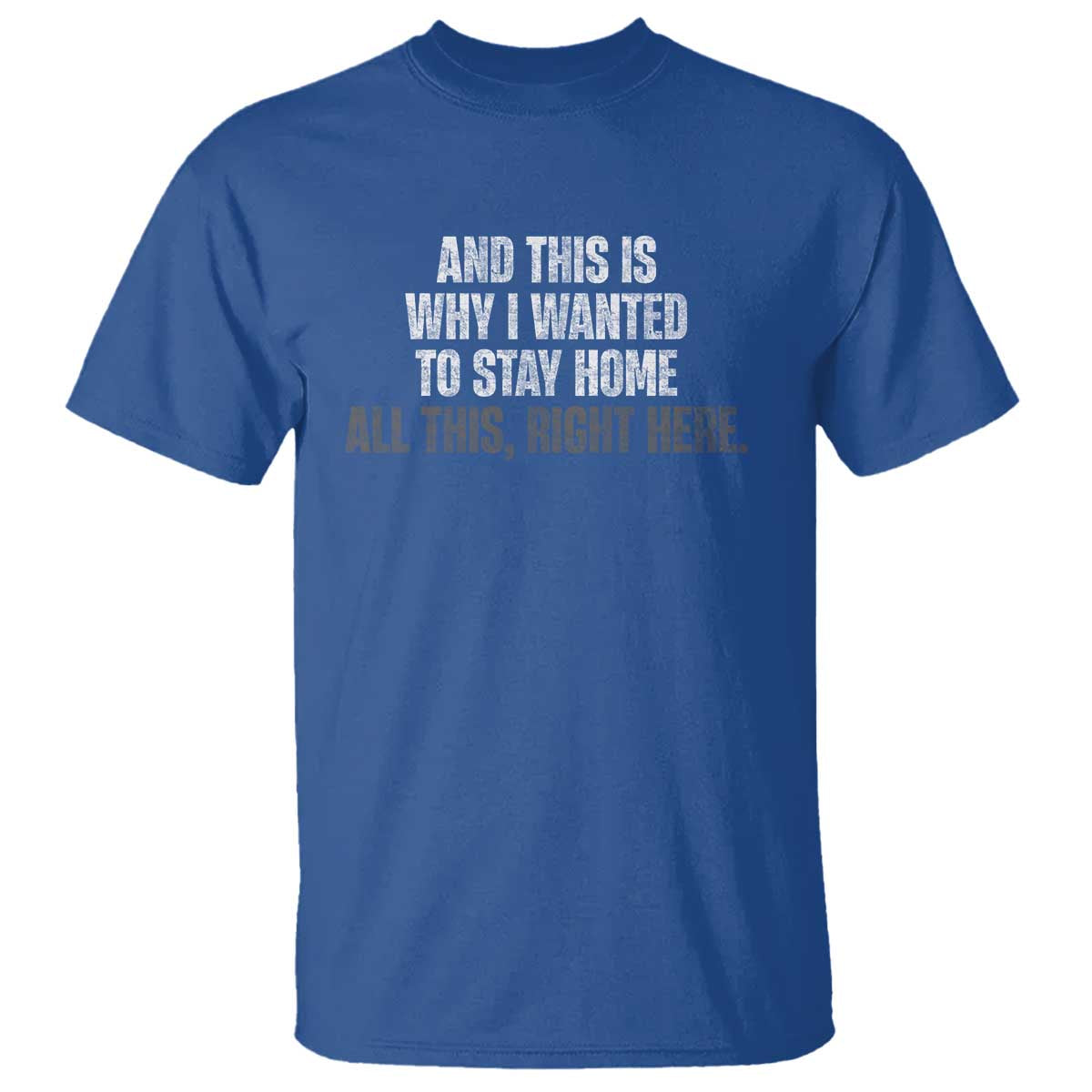 Funny And This Is Why I Wanted To Stay Home T Shirt All This Right Here
