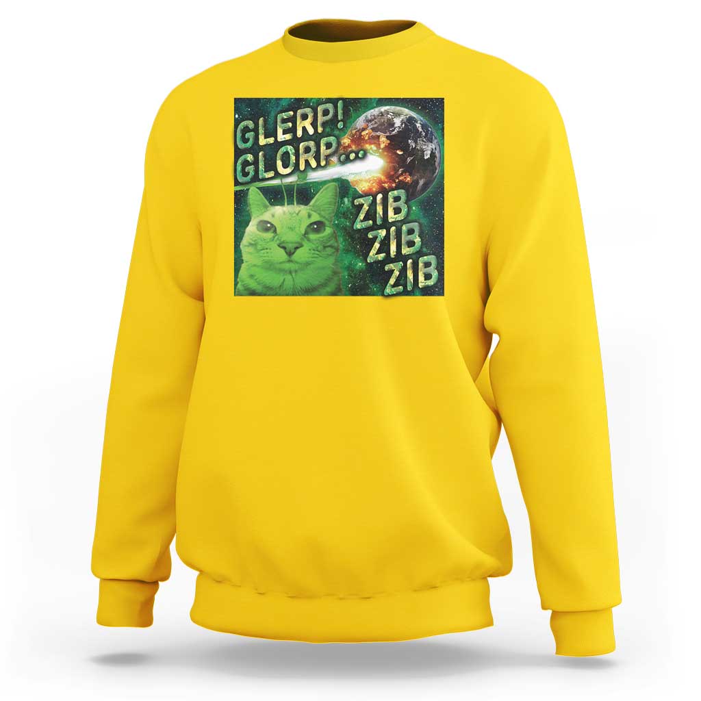 Funny Alien Cat Meme Sweatshirt Glerp Glorp Zib Zib
